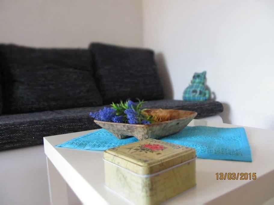 בול Charming Apartments With Garden מראה חיצוני תמונה